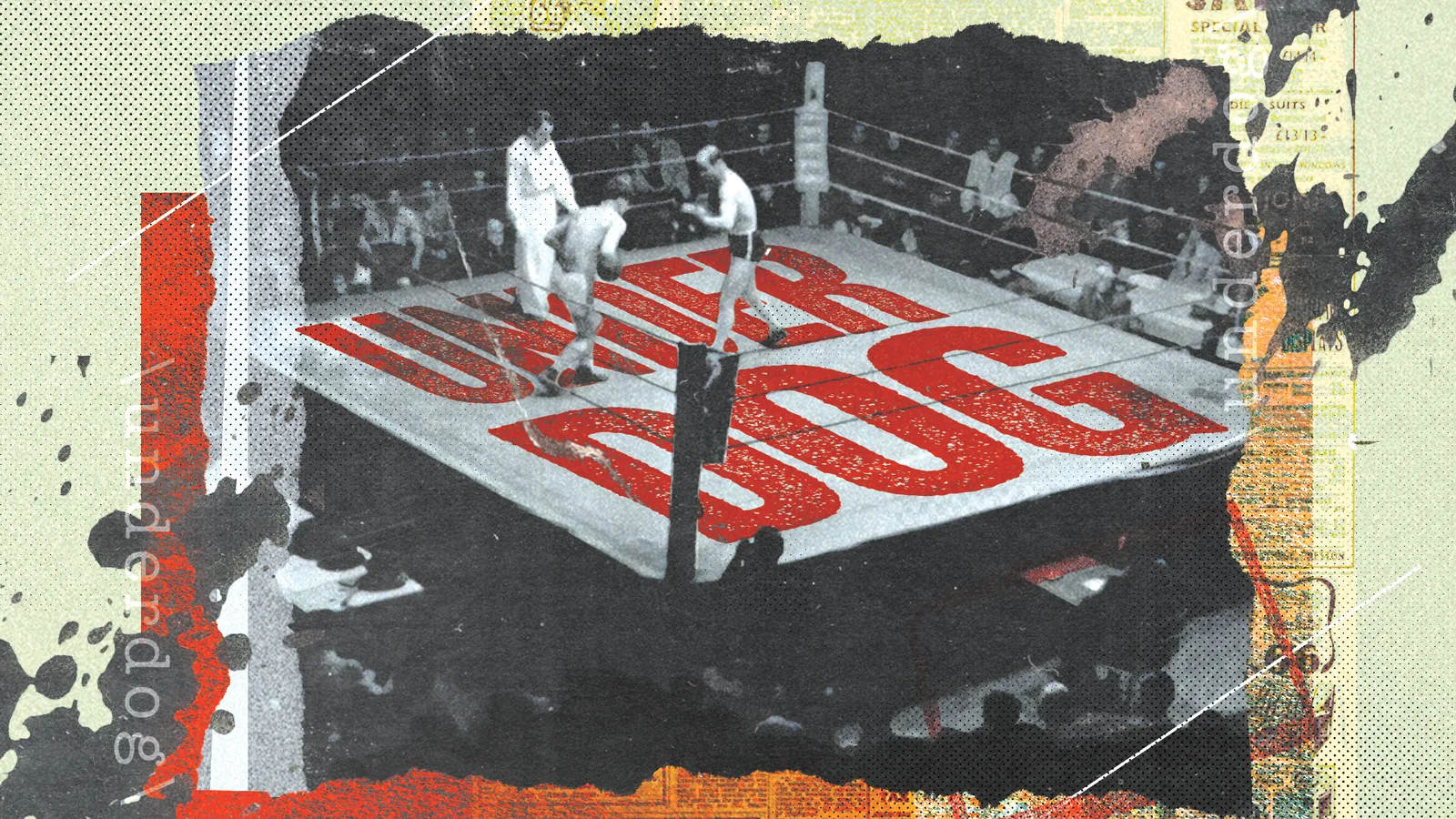 Underdog wide artwork