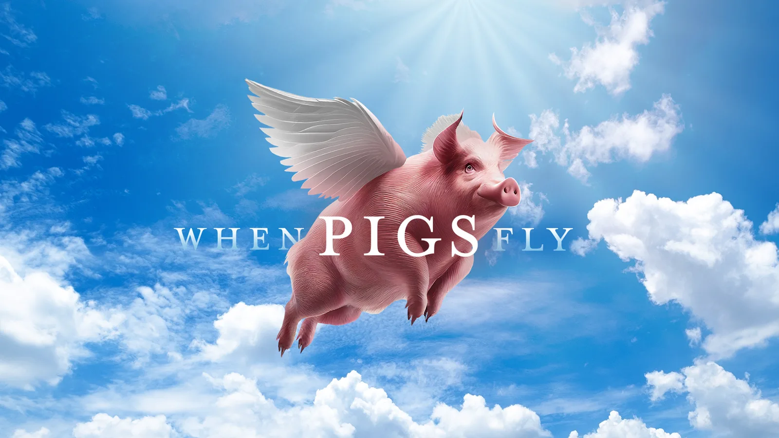 When Pigs Fly wide artwork